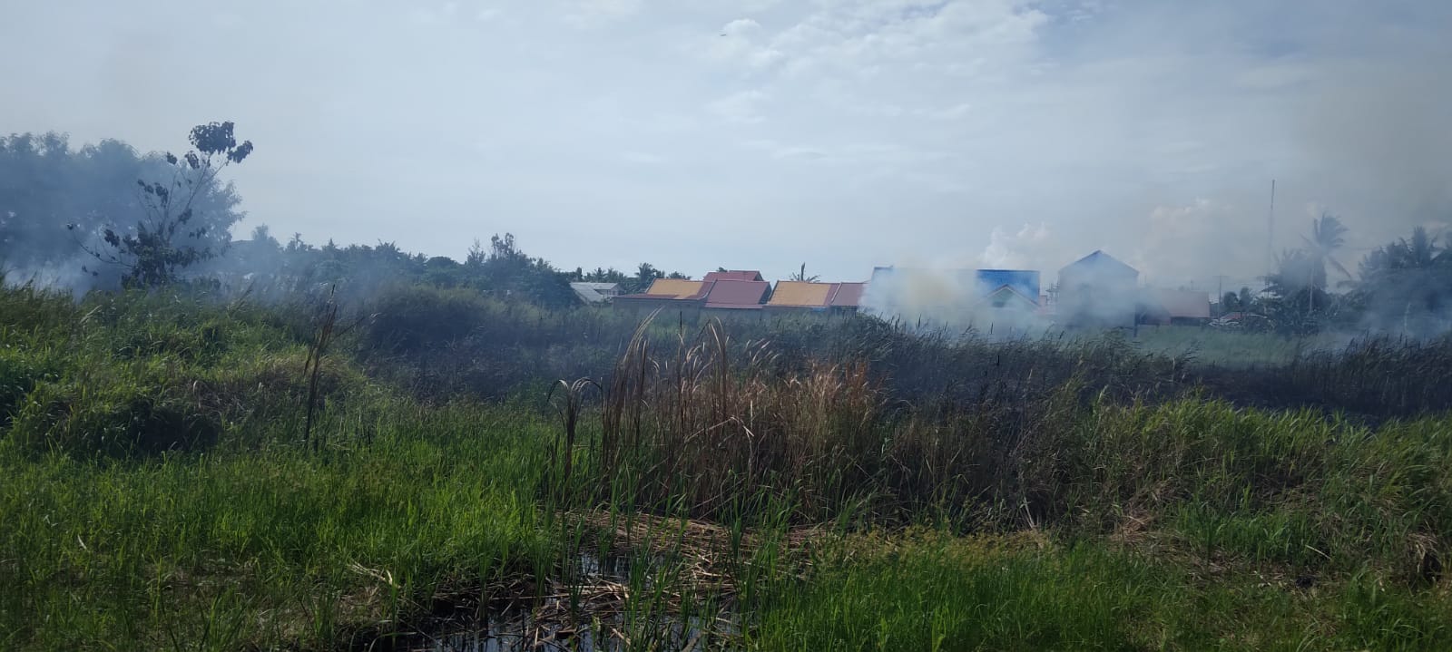 Kebakaran yang terjadi diseitar SMPN Buti,Kelurahan Samkai, Kabupaten Merauke – Surya Papua/ Yulianus Bwariat