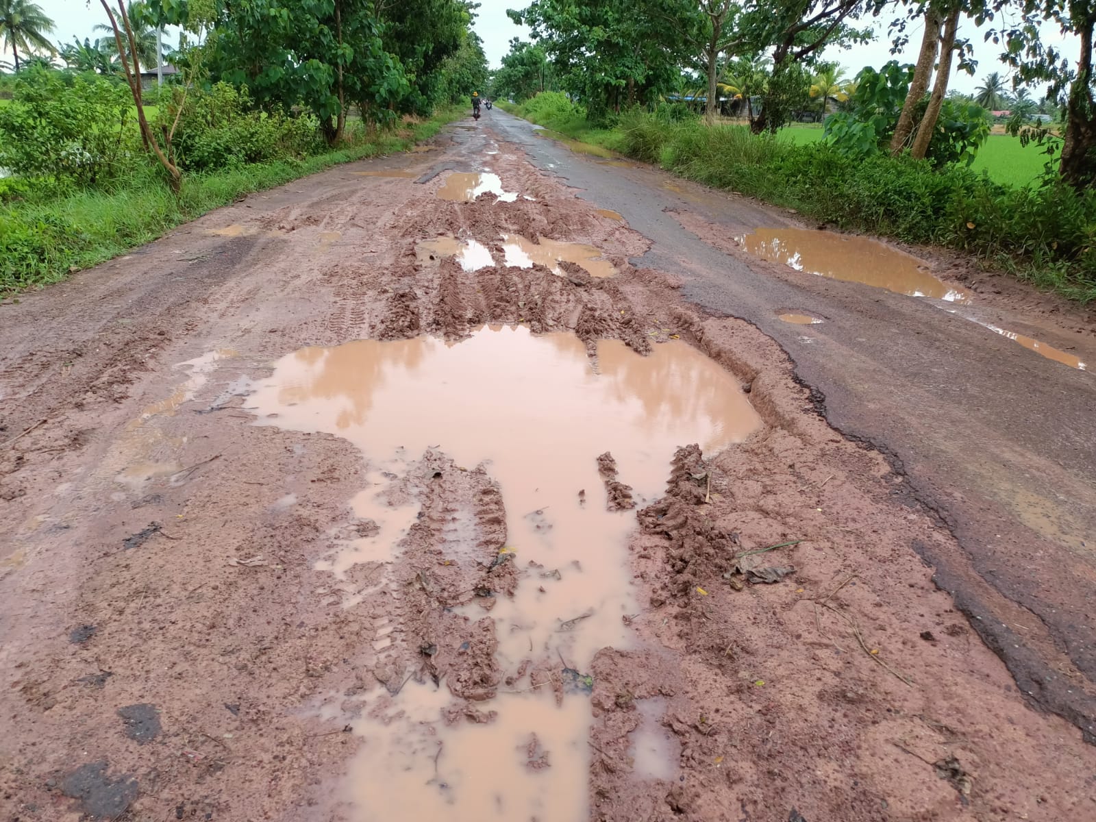 Kubangan banjir di tengah jalan di SP-4, Distrik Tanah Miring, Kabupaten Merauke – Surya Papua/Frans Kobun