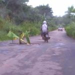 Sebatang pisang yang ditanam di tengah jalan oleh warga, akibat lubang yang tak kunjung diperbaiki – Surya Papua/Yulianus Bwariat