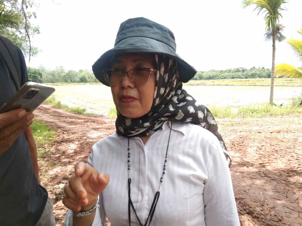 Kepala Dinas Pertanian Kabupaten Merauke, Ratna Lauce – Surya Papua/Frans Kobun
