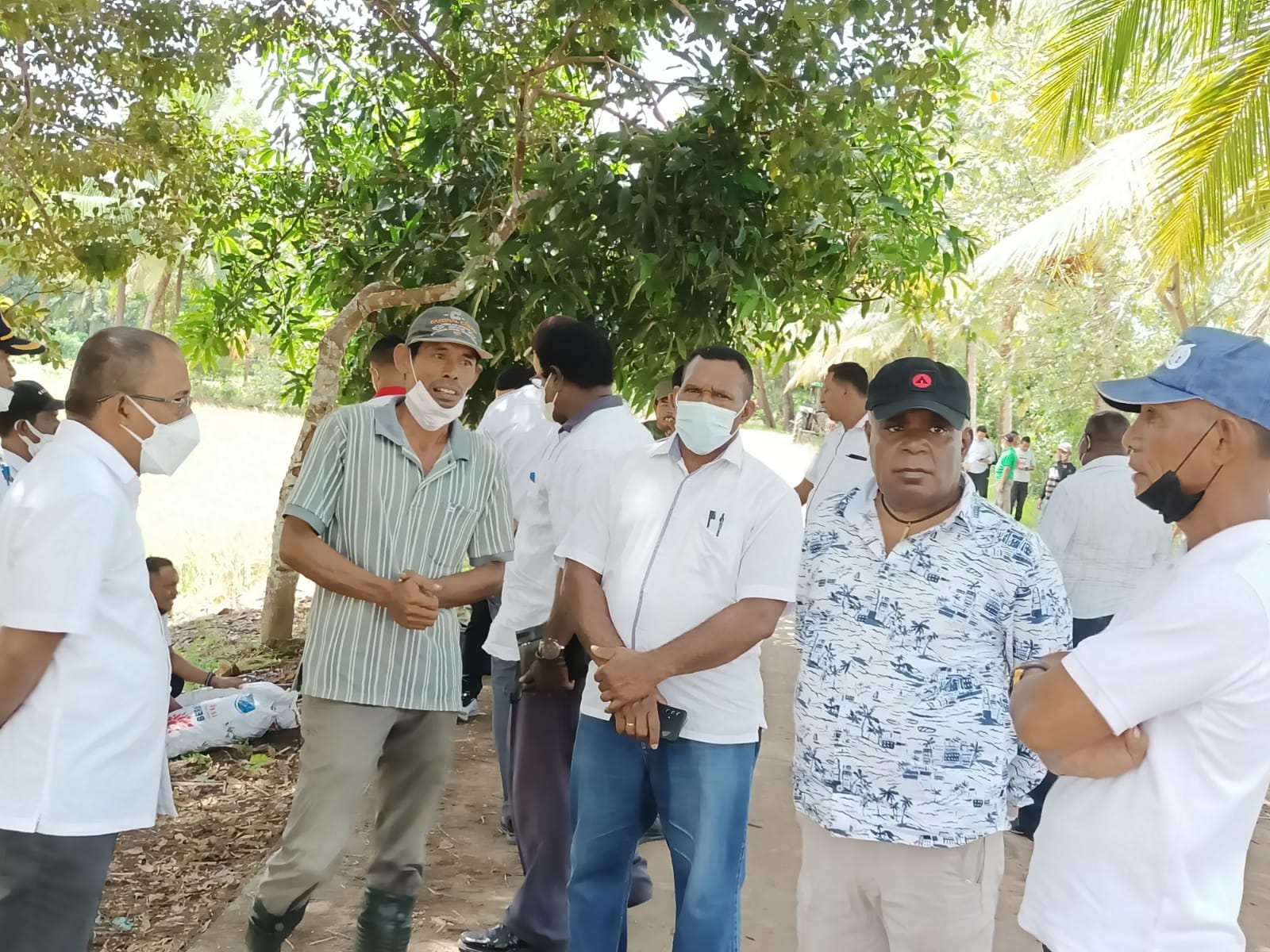 Bupati Merauke, Romanus Mbaraka bersama sejumlah pejabat di kebunnya di Kampung Sarsang – Surya Papua/Frans Kobun