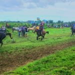 Pelaksanaan pacuan kuda di arena Taman Pinang, Kampung Sidomulyo, Distrik Semangga, Kabupaten Merauke yang disponsori Hendrikus Mahuze – Surya Papua/ Yulius Bwariat