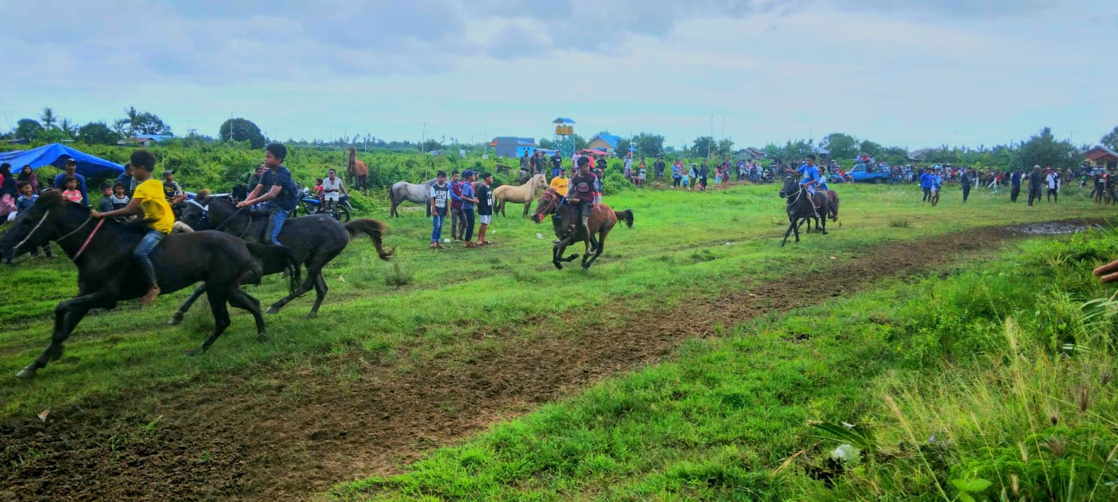 Pelaksanaan pacuan kuda di arena Taman Pinang, Kampung Sidomulyo, Distrik Semangga, Kabupaten Merauke yang disponsori Hendrikus Mahuze – Surya Papua/ Yulius Bwariat