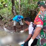 Korban Widodo sedang dievakuasi untuk dibawa ke Klinik Asiki, Kabupaten Boven Digoel – Surya Papua/IST