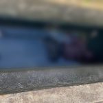 Sesosok mayat ditemukan tadi pagi di saluran drainase di sekitar TMP – Surya Papua/IST