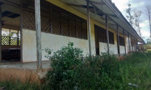 Inilah salah satu kondisi bangunan sekolah dasar di daerah pedalaman di Kabupaten Merauke – Surya Papua/Frans Kobun