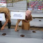 Penanaman bibit tanaman holtikultura bersama kelomok tani dan masyarakat di Kampung Marga Mulya – Surya Papua/Yulianus Bwariat