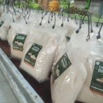 Tepung sagu dalam kemasan yang didistribusi ke toko-toko untuk dijual – Surya Papua/Frans Kobun