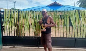 Pemilik ulayat, Anselmus Samkakai yang memalang Kantor Lurah Samkai dengan memasang janur – Surya Papua/IST