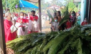 Pastor Paroki Santa Theresia Buti, Romo Pius Oematan, Pr sedang memberkati daun palma – Surya Papua/Frans Kobun