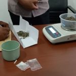 Narkoba yang diamankan Satnarkoba Polres Merauuke – Surya Papua/Yulianus Bwariat