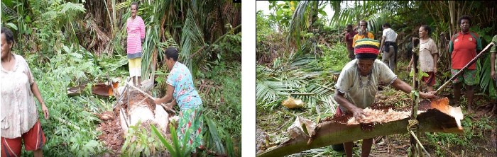 Pengolahan sagu yang masih dilakukan secara manual oleh mama-mama di Kampung Aiwat selama ini  – Surya Papua/IST