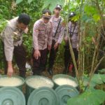 Sagero dalam kemasan ember yang disembunyikan di belakang rumah – Surya Papua/IST