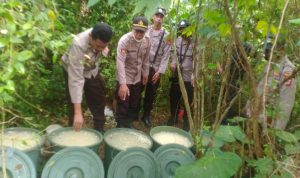 Sagero dalam kemasan ember yang disembunyikan di belakang rumah – Surya Papua/IST