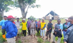 Bupati Merauke, Romanus Mbaraka sedang dialog bersama masyarakat SP-3, Distrik Tanah Miring yang adalah warga Nusa Tenggara Timur - Surya Papua/IST