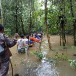 Pencarian dua korban melalui hutan dan rawa- Surya Papua/IST