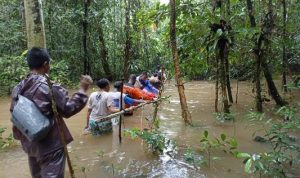 Pencarian dua korban melalui hutan dan rawa- Surya Papua/IST