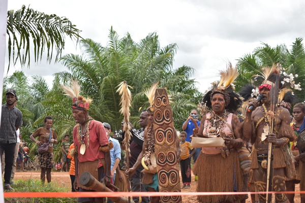 Ritual adat dilakukan sebelum proses panen – Surya Papua/IST