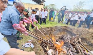 Bupati Merauke, Romanus Mbaraka bersama sejumlah pejabat lain sedang melakukan pemusnahan daging – Surya Papua/Ichal Ukat