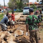 Jemaat sedang bergotong royong menyelesaikan jalan rusak – Surya Papua/IST