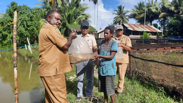 Penyerahan bibit ikan kepada salah seorang mama – Surya Papua/IST