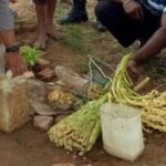 Sagero dalam jerigen dan mayang kelapa yang diamankan Polsek Okaba – Surya Papua/IST