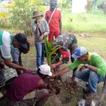 Penanaman anakan pohon pinang di Kampung Kiworo, Distrik Kimaam, Kabupaten Merauke – Surya Papua/IST