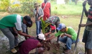 Penanaman anakan pohon pinang di Kampung Kiworo, Distrik Kimaam, Kabupaten Merauke – Surya Papua/IST