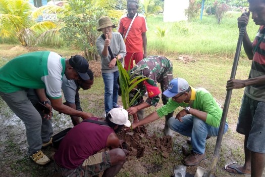 Penanaman anakan pohon pinang di Kampung Kiworo, Distrik Kimaam, Kabupaten Merauke – Surya Papua/IST