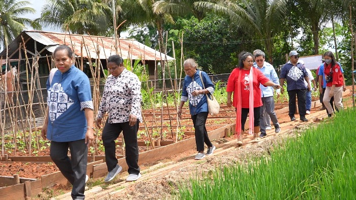 Peninjauan langsung kebun percontohan masyarakatoleh TP PKK Provinsi Papua – Surya Papua/IST
