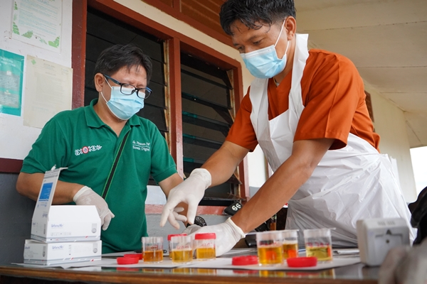Urine karyawan yang diambil untuk ditest sekaligus mengetahui apakah positif atau negative narkoba – Surya Papua/IST