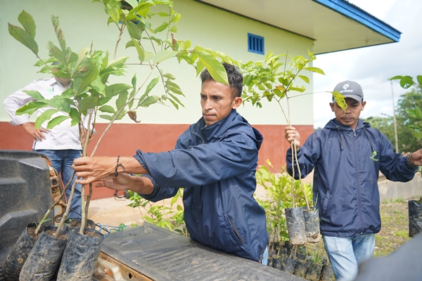 Bibit pohon yang akan diberikan kepada masyarakat oleh perusahan – Surya Papua/IST