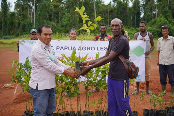 Bibit tanaman pohon yang diberikan TSE Group kepada masyarakat untuk ditanam – Surya Papua/IST