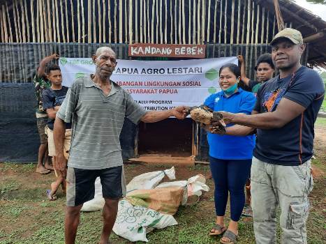 Penyerahan ternak kepada perwakilan masyarakat di Kampung Guiss Rawa Kasat – Surya Papua/IST