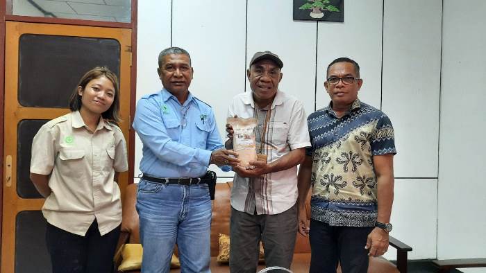 Pemred Surya Papua, Frans Kobun sedang menerima oleh-oleh berupa tepung sagu – Surya Papua/Yulianus Bwariat