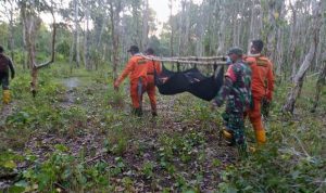 Tim SAR sedang mengevakuasi korban dari tengah hutan – Surya Papua/IST