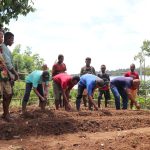 Proses pembuatan bedeng oleh masyarakat di Kampung Mutimangge – Surya Papua/IST