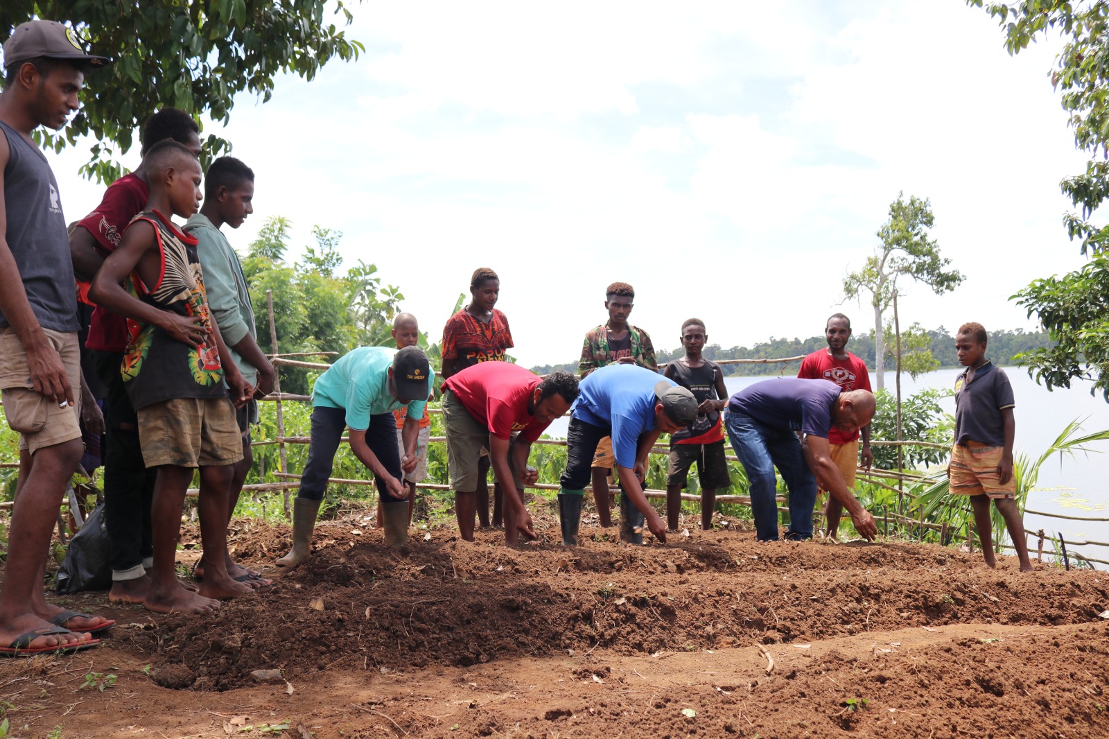 Proses pembuatan bedeng oleh masyarakat di Kampung Mutimangge – Surya Papua/IST