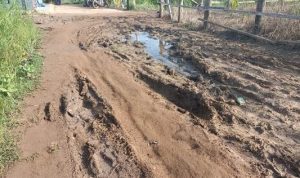 Salah satu ruas jalan di Gang Sehati, Kelurahan Samkai, Kabupaten Merauke yang rusak parah – Surya Papua/Frans Kobun