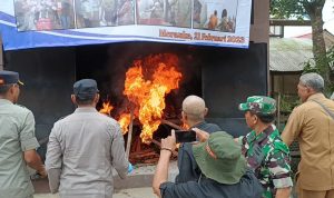 Pemusnahan daging sapi import yang dilakukan Sekda Merauke, Ruslan Ramli bersama Muspida – Surya Papua/Yulianus Bwariat