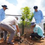 Penanaman buah dan sayuran di kebun percontohan di Camp 19, Kampung Asiki – Surya Papua/IST