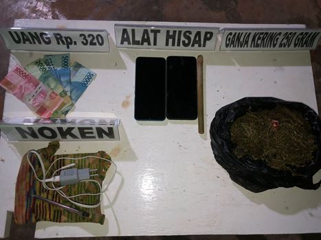 Barang bukti ganja seberat 250 gram yang diamankan – Surya Papua/IST