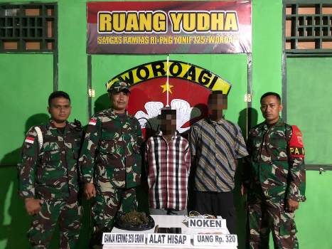 Dua pelaku yang diamankan Satgas-Pamtas RI-PNG setelah membawa ganja – Surya Papua/IST