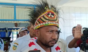 Anggota Komisi I Dewan Perwakilan Rakyat (DPR) RI, Yan Permenas Mandenas – Surya Papua/Yulianus Bwariat