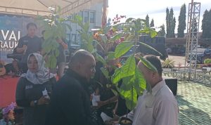 Penyerahan anakan kopi kepada perwakilan distrik untuk masyarakat – Surya Papua/Frans Kobun
