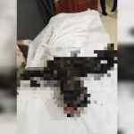 Korban yang tewas terbakar setelah membakar rumahnya – Surya Papua/Yulianus Bwariat