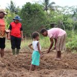 Sejumlah ibu sedang membongkar lahan untuk ditanami sayur-sayuran – Surya Papua/IST
