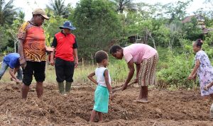 Sejumlah ibu sedang membongkar lahan untuk ditanami sayur-sayuran – Surya Papua/IST