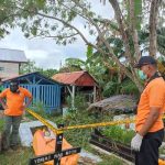 Tim Infas Satreskrim Polres Merauke sedang melakukan olah TKP terkait korban yang tewas gantung diri – Surya Papua/IST