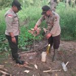 sitanggang Kapolsek Onggaya, Iptu J Sitanggang bersama anggotanya sedang menuangkan sagero ke tanah – Surya Papua/IST